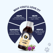 Circular infographic highlighting Liv Paw benefits: balances liver enzymes, preserves organ vitality, supports waste processing, and is gentle for daily use.