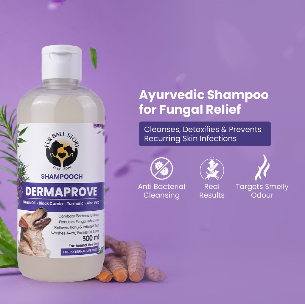 Promotional image highlighting Dermaprove Ayurvedic Shampoo for fungal relief, featuring icons for anti-bacterial cleansing, real results, and targeting smelly odor.