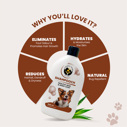 A circular infographic highlighting Shampooch benefits: eliminates foul odor, hydrates skin, reduces hairfall, and acts as a natural bug repellent.