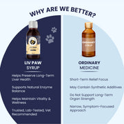 A side-by-side comparison chart showing the long-term, natural benefits of Liv Paw Syrup versus the narrow, short-term relief of ordinary medicine.