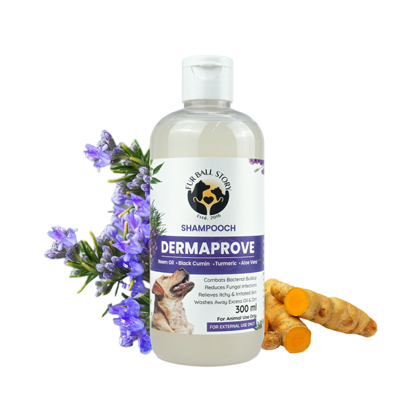 A single bottle of Dermaprove dog shampoo arranged with purple rosemary flowers and fresh turmeric roots on a transparent grid background.