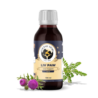 A 100 ml bottle of Fur Ball Story Liv Paw Liver Support Syrup for dogs, flanked by milk thistle flowers and a green bhumi amla sprig.