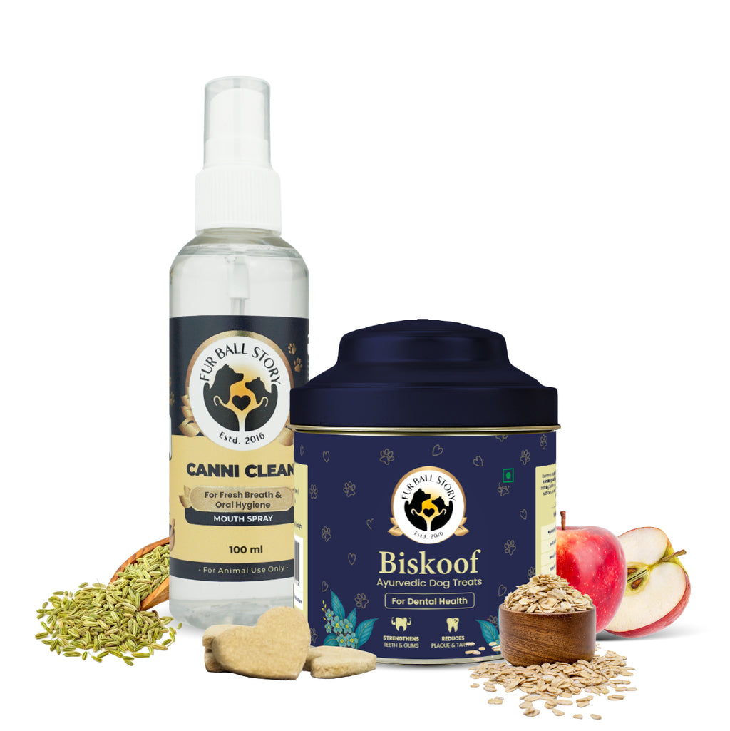 A minimalist lifestyle flat-lay of the "Fur Ball Story" dental kit, featuring the Canni Clean spray and Biskoof treats framed by their raw ingredients: fresh apple slices, rustic oats, and fragrant fennel seeds to highlight a farm-to-bowl aesthetic.