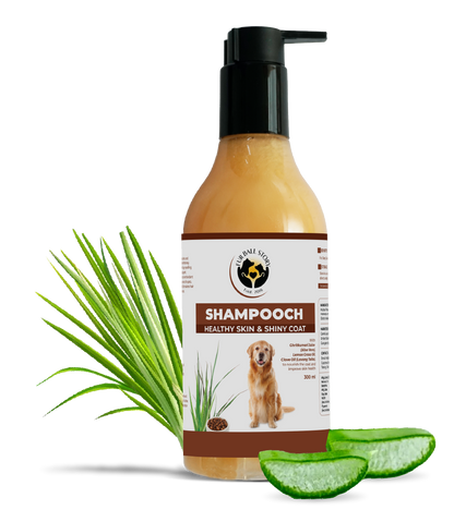 Shampooch: Best Dog Shampoo For Healthy Skin & Shiny Coat - 300ml