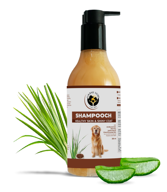 Shampooch: Best Dog Shampoo For Healthy Skin & Shiny Coat - 300ml