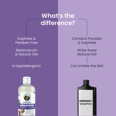 Dermaprove Shampooch: Antifungal Dog Shampoo - 300ml