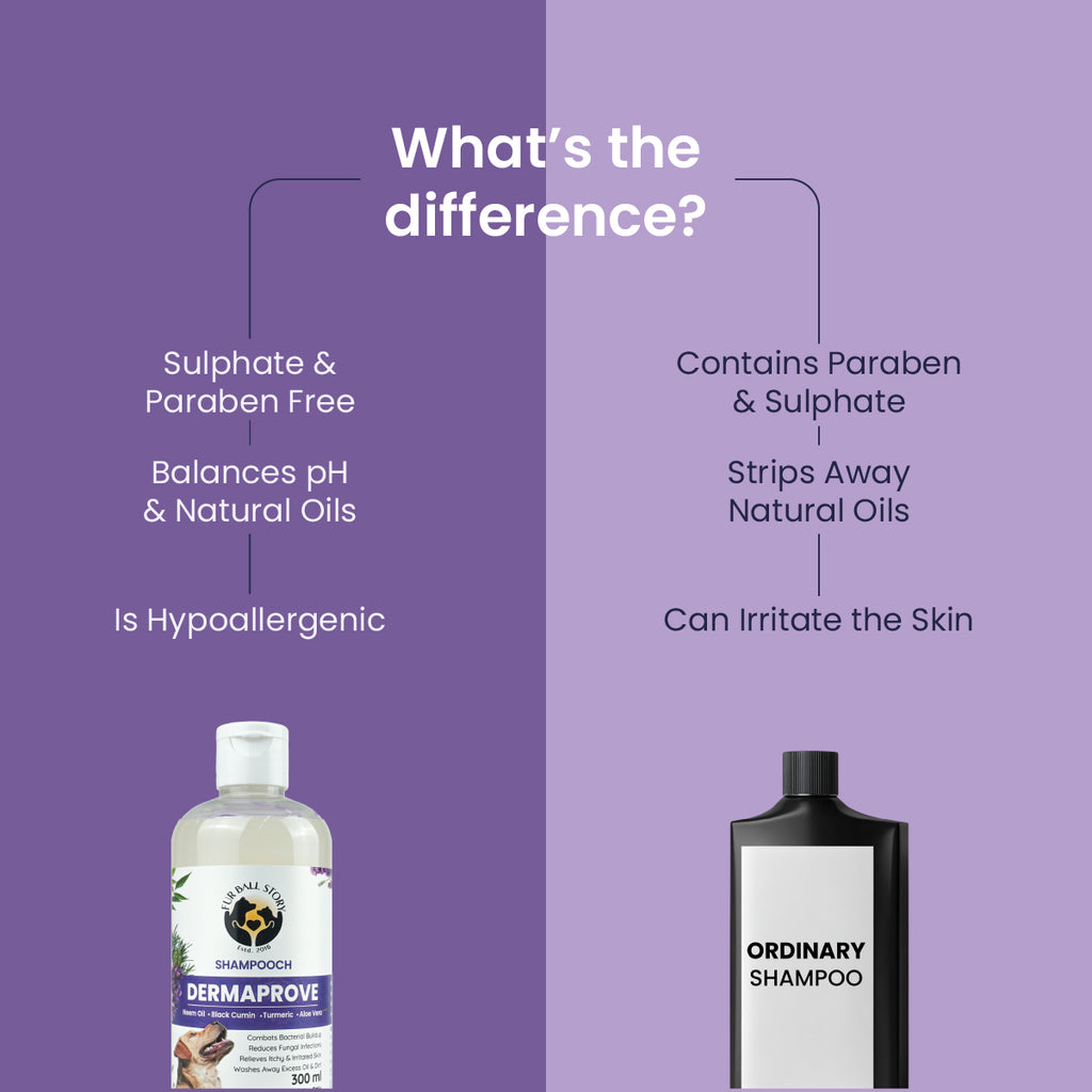 Comparison chart contrasting Dermaprove shampoo (sulphate/paraben free, balances pH) with an ordinary shampoo (contains parabens/sulphates, strips oils, irritates skin).