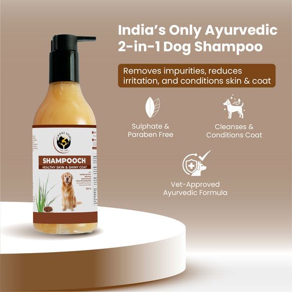Shampooch: Best Dog Shampoo For Healthy Skin & Shiny Coat - 300ml