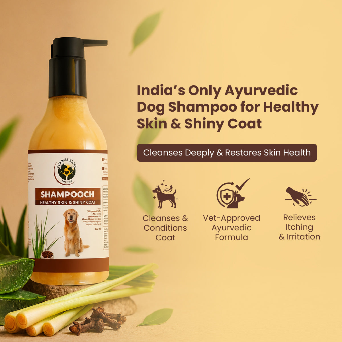 Infographic for Shampooch dog shampoo describing it as an Ayurvedic formula that cleanses the coat and relieves skin itching.