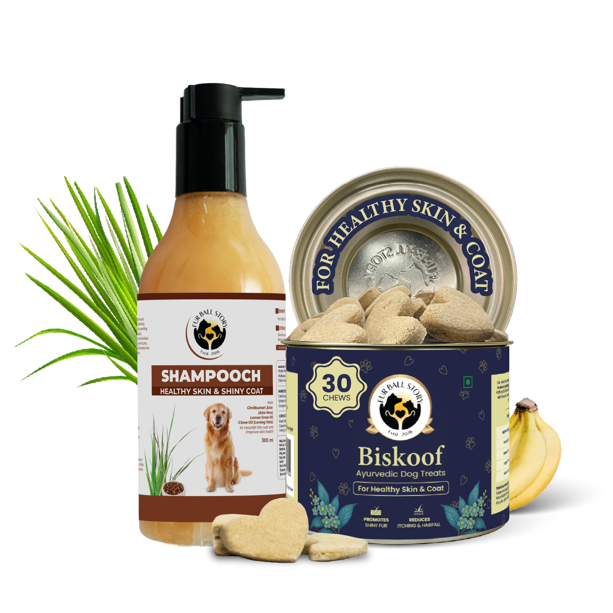 Shampooch: Best Dog Shampoo For Healthy Skin & Shiny Coat - 300ml