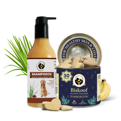 Shampooch: Best Dog Shampoo For Healthy Skin & Shiny Coat - 300ml