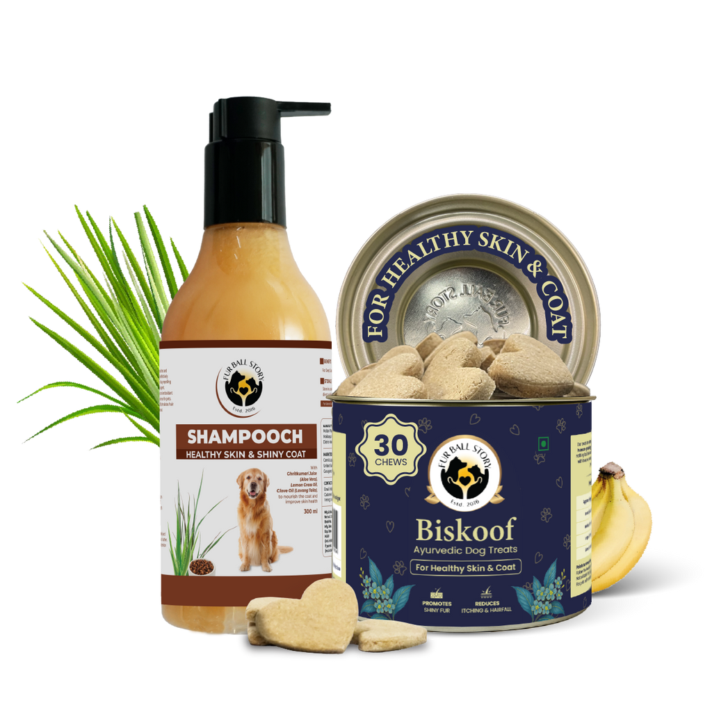 Shampooch: Best Dog Shampoo For Healthy Skin & Shiny Coat - 300ml