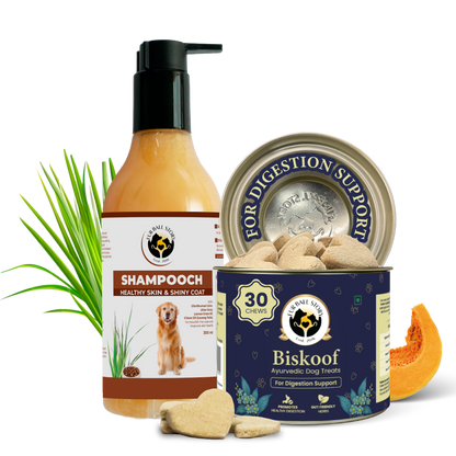 Shampooch: Best Dog Shampoo For Healthy Skin & Shiny Coat - 300ml