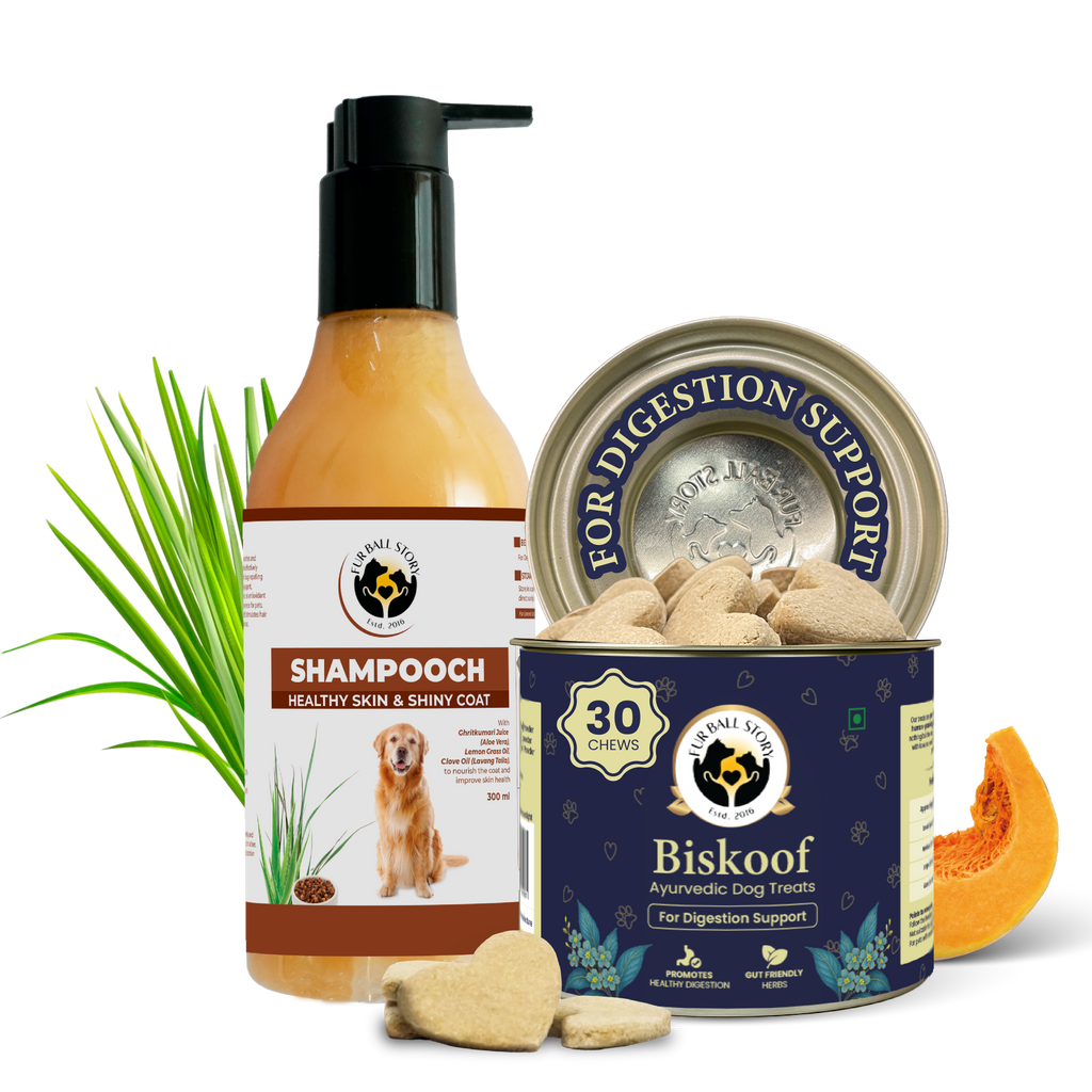 Shampooch: Best Dog Shampoo For Healthy Skin & Shiny Coat - 300ml