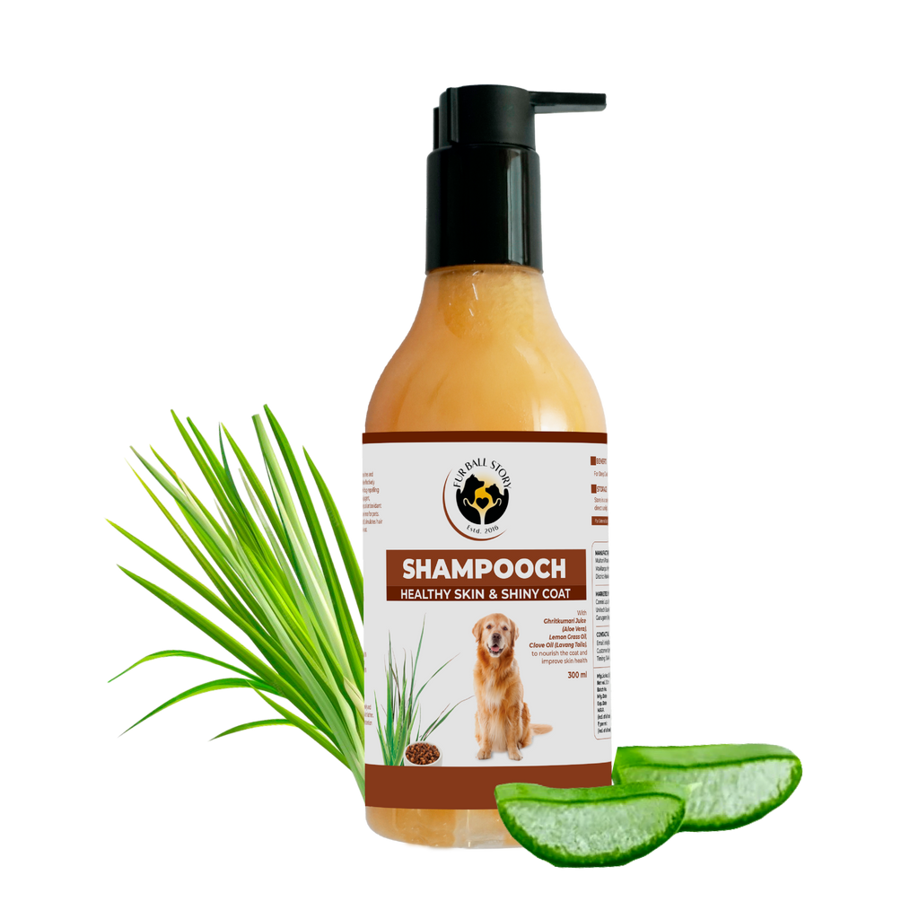 A Shampooch dog shampoo bottle displayed with fresh lemongrass stalks and aloe vera slices on a transparent grid background.