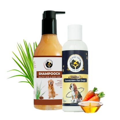 Dog shampoo and sunscreen bottles arranged with blades of grass, fresh carrots, and a bowl of oil on a transparent grid background.