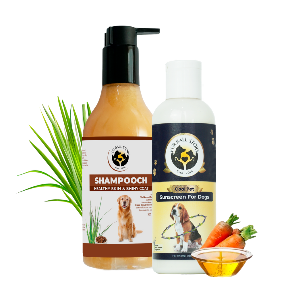 Dog shampoo and sunscreen bottles arranged with blades of grass, fresh carrots, and a bowl of oil on a transparent grid background.