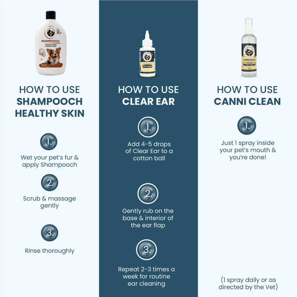 Step-by-step instructional infographic detailing how to use Shampooch Healthy Skin shampoo, Clear Ear cleanser, and Canni Clean mouth spray.