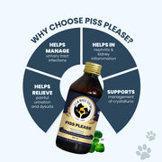 A four-part circular diagram framing the syrup as a specialized aid for nephritis, kidney inflammation, and dysuria. It positions the supplement as a critical tool for managing painful urination and crystalluria.