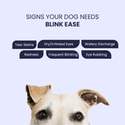 A curious dog peeks from the bottom of the frame, looking up at a series of dark bubbles listing "cries for help" like tear stains, redness, and frequent blinking—all signs that a pup is ready for a bottle of Blink Ease.