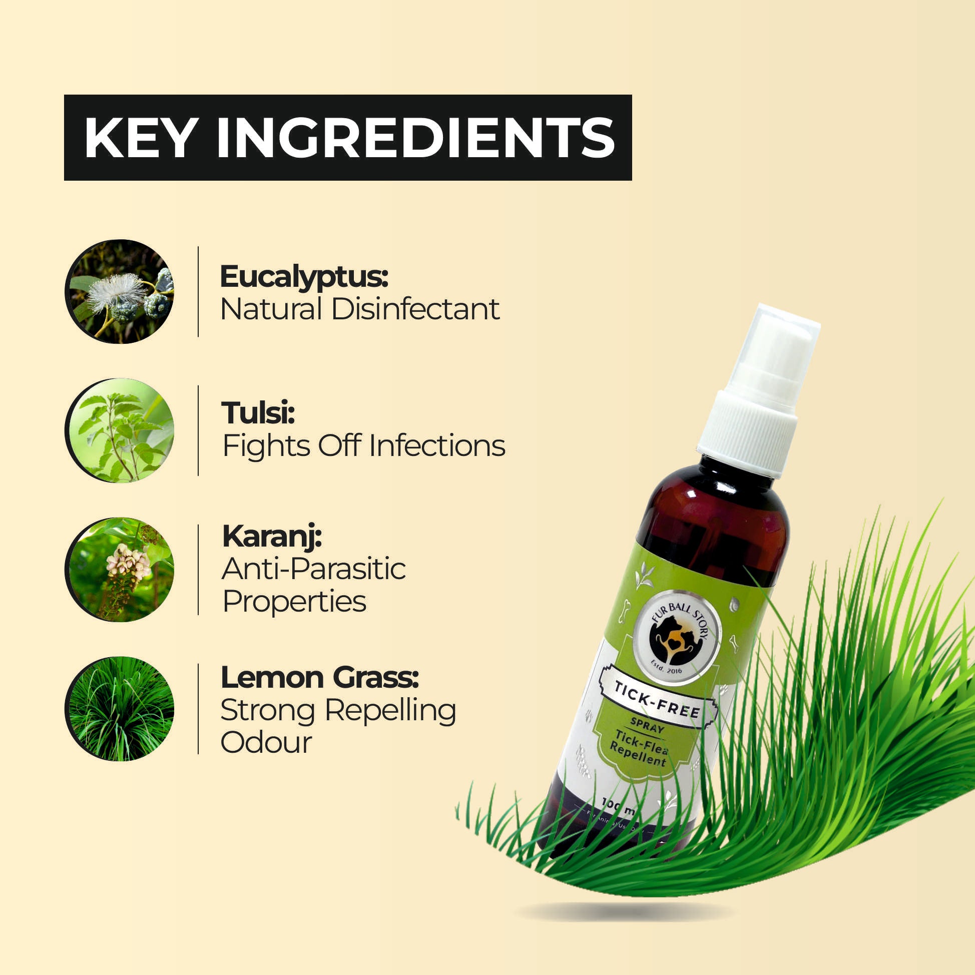 Eucalyptus oil clearance for fleas