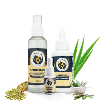 The "Fur Ball Story" hygiene family gathered together: Canni Clean mouth spray, Clear Ear cleanser, and Blink Ease eye drops. They are flanked by raw ingredients like fennel seeds and towering aloe vera leaves, representing a complete natural wellness toolkit for pets.