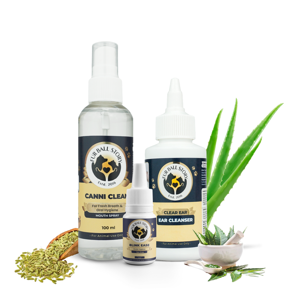 The "Fur Ball Story" hygiene family gathered together: Canni Clean mouth spray, Clear Ear cleanser, and Blink Ease eye drops. They are flanked by raw ingredients like fennel seeds and towering aloe vera leaves, representing a complete natural wellness toolkit for pets.