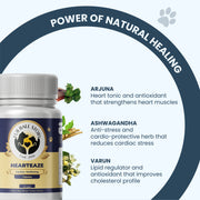 A "Power of Natural Healing" infographic featuring botanical illustrations of Arjuna, Ashwagandha, and Varun. The text explains how these specific herbs work in tandem to strengthen heart muscles, reduce cardiac stress, and improve lipid profiles.