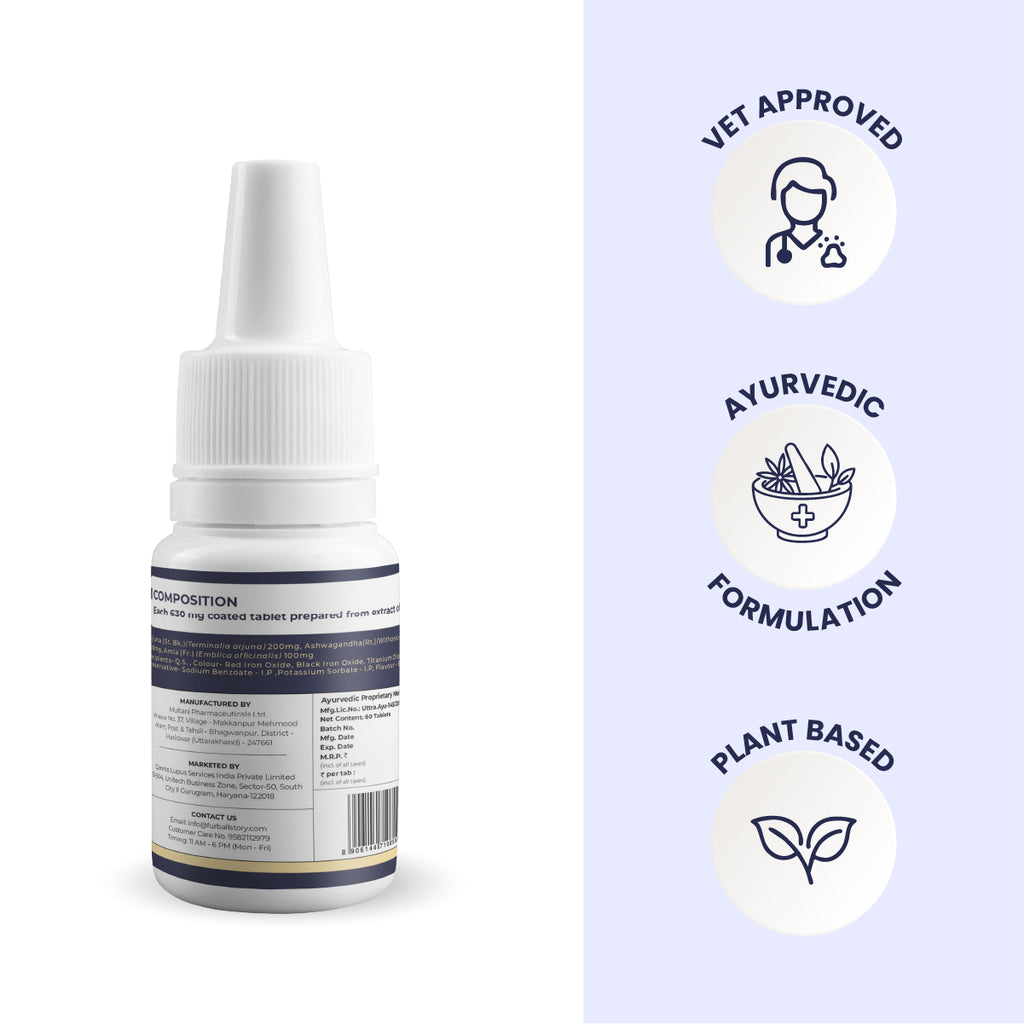 The back of a Blink Ease bottle is shown alongside three circular stamps of quality: a stethoscope for "Vet Approved," a mortar and pestle for "Ayurvedic Formulation," and a leaf for its 100% "Plant-Based" soul.