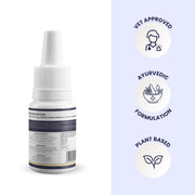 The back of a Blink Ease bottle is shown alongside three circular stamps of quality: a stethoscope for "Vet Approved," a mortar and pestle for "Ayurvedic Formulation," and a leaf for its 100% "Plant-Based" soul.