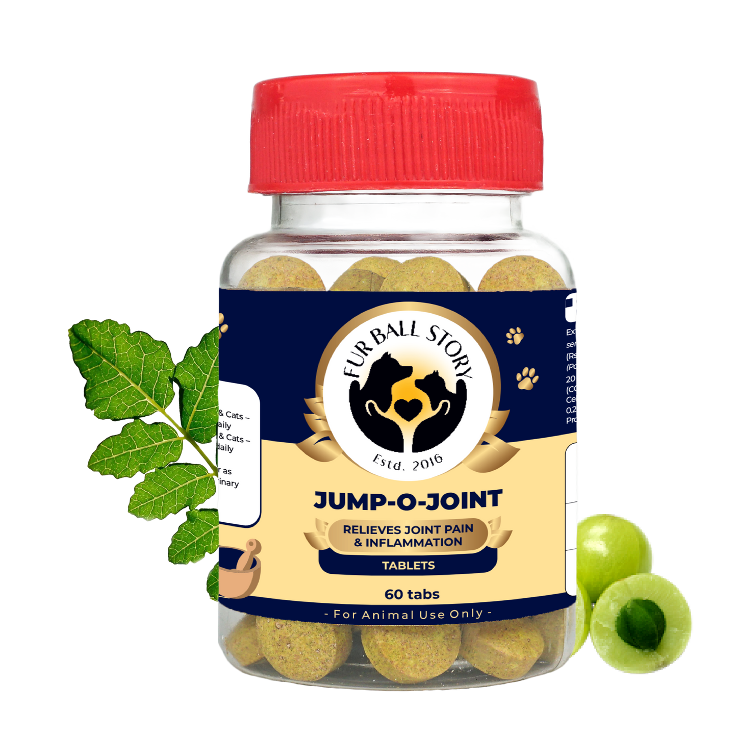 Studio cutout of the Jump-O-Joint 60-tablets bottle on a transparent grid background, flanked by green leaves and a cut amla fruit.