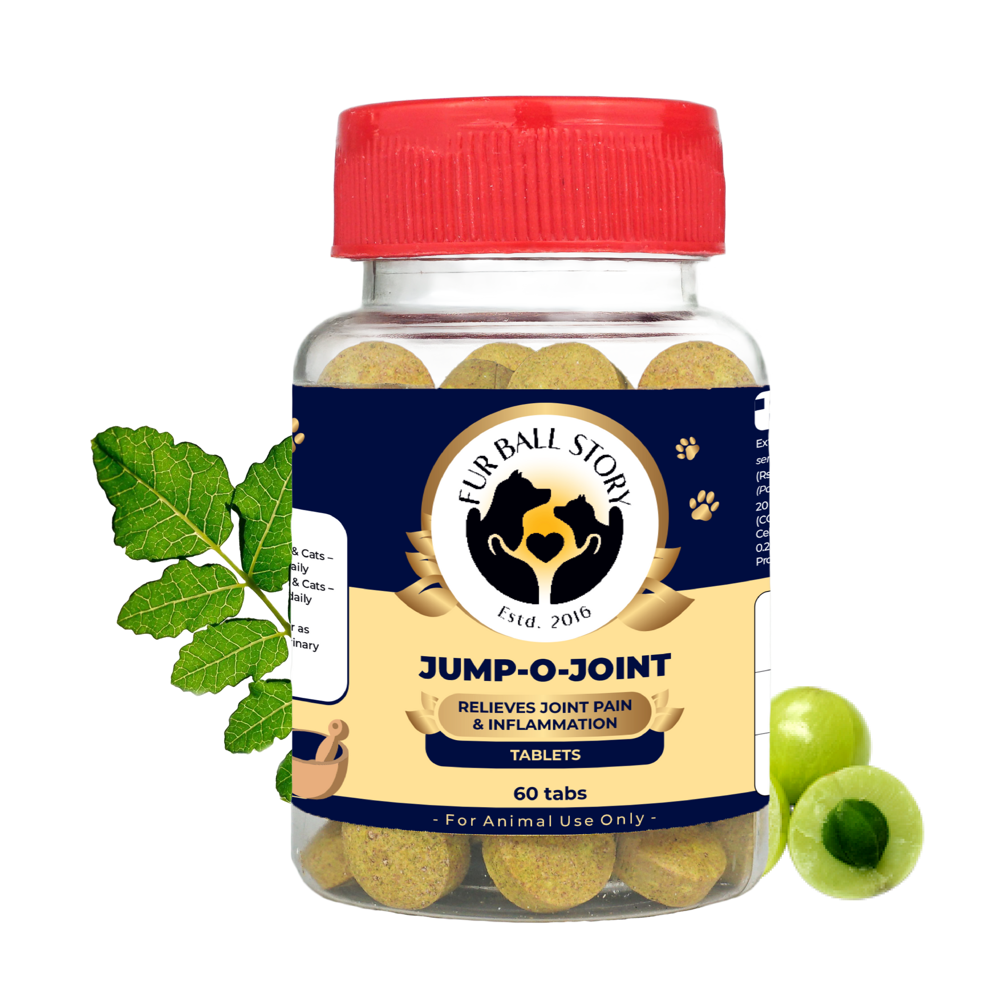 Studio cutout of the Jump-O-Joint 60-tablets bottle on a transparent grid background, flanked by green leaves and a cut amla fruit.