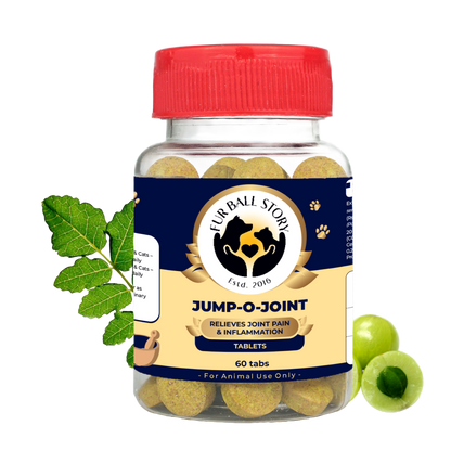 Studio cutout of the Jump-O-Joint 60-tablets bottle on a transparent grid background, flanked by green leaves and a cut amla fruit.