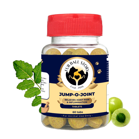 Dog Joint Supplements,Dog Joint Supplement,Joint Supplement for Dogs