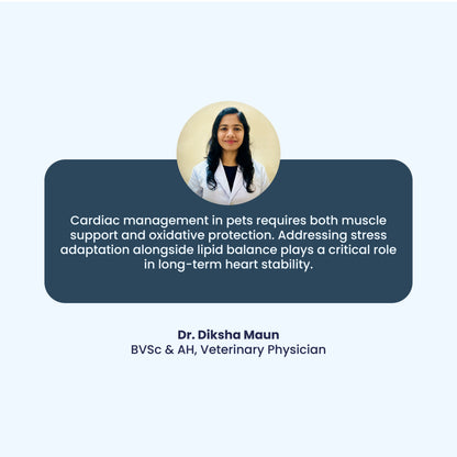 A testimonial from Veterinary Physician Dr. Diksha Maun, who explains that long-term pet heart stability requires a balance of muscle support and stress adaptation. Her professional insight bridges the gap between traditional herbal wisdom and modern clinical cardiac care.