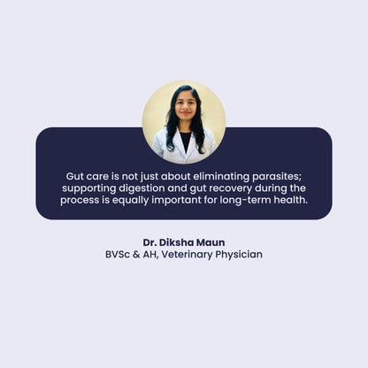A professional quote from Veterinary Physician Dr. Diksha Maun emphasizing the long-term importance of gut care and digestive recovery alongside parasite elimination.