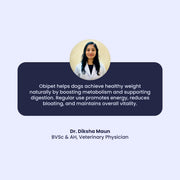 A testimonial from Dr. Diksha Maun, a veterinary physician, recommending Obipet for healthy weight and digestion.