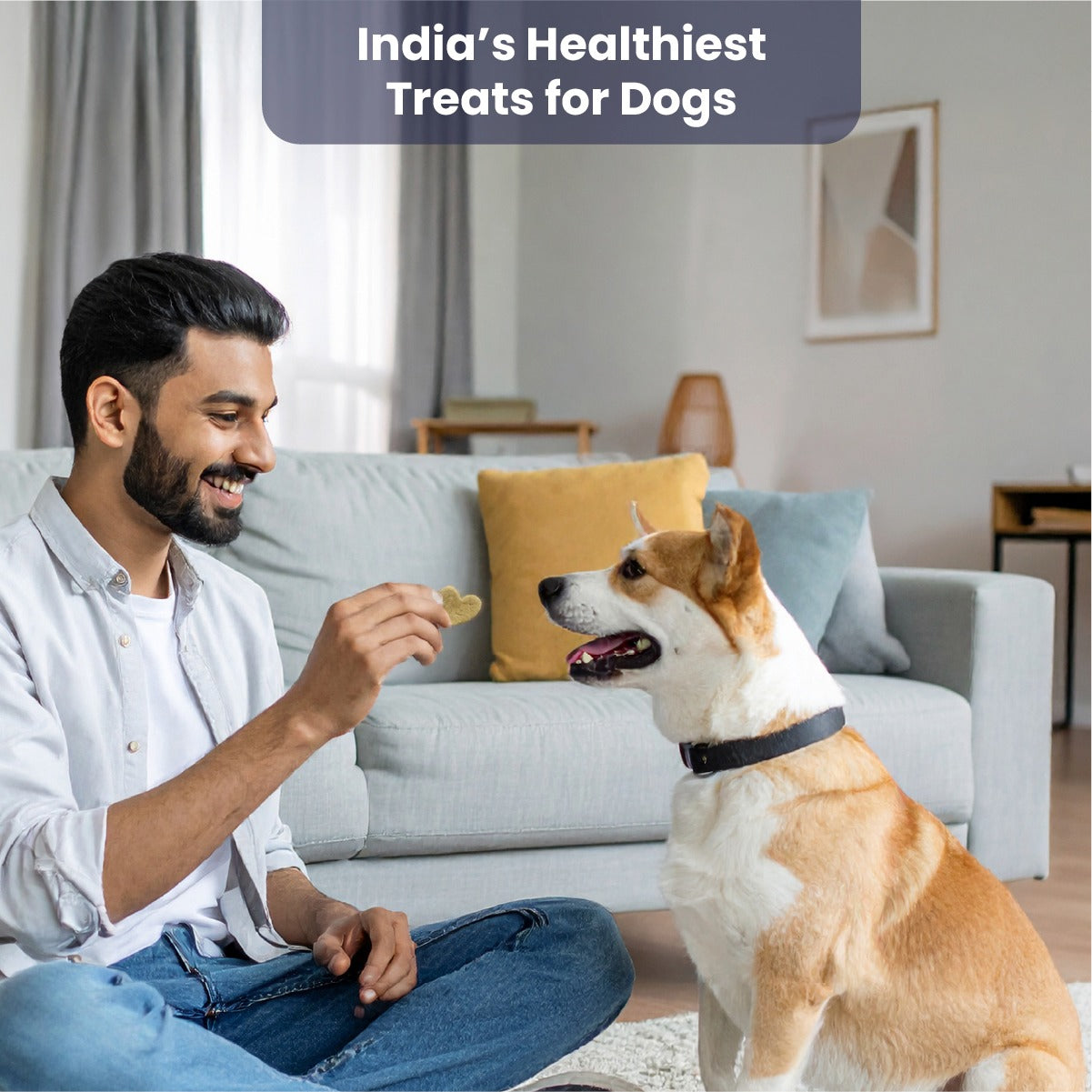 Biskoof - India's Healthiest Treats for Dogs