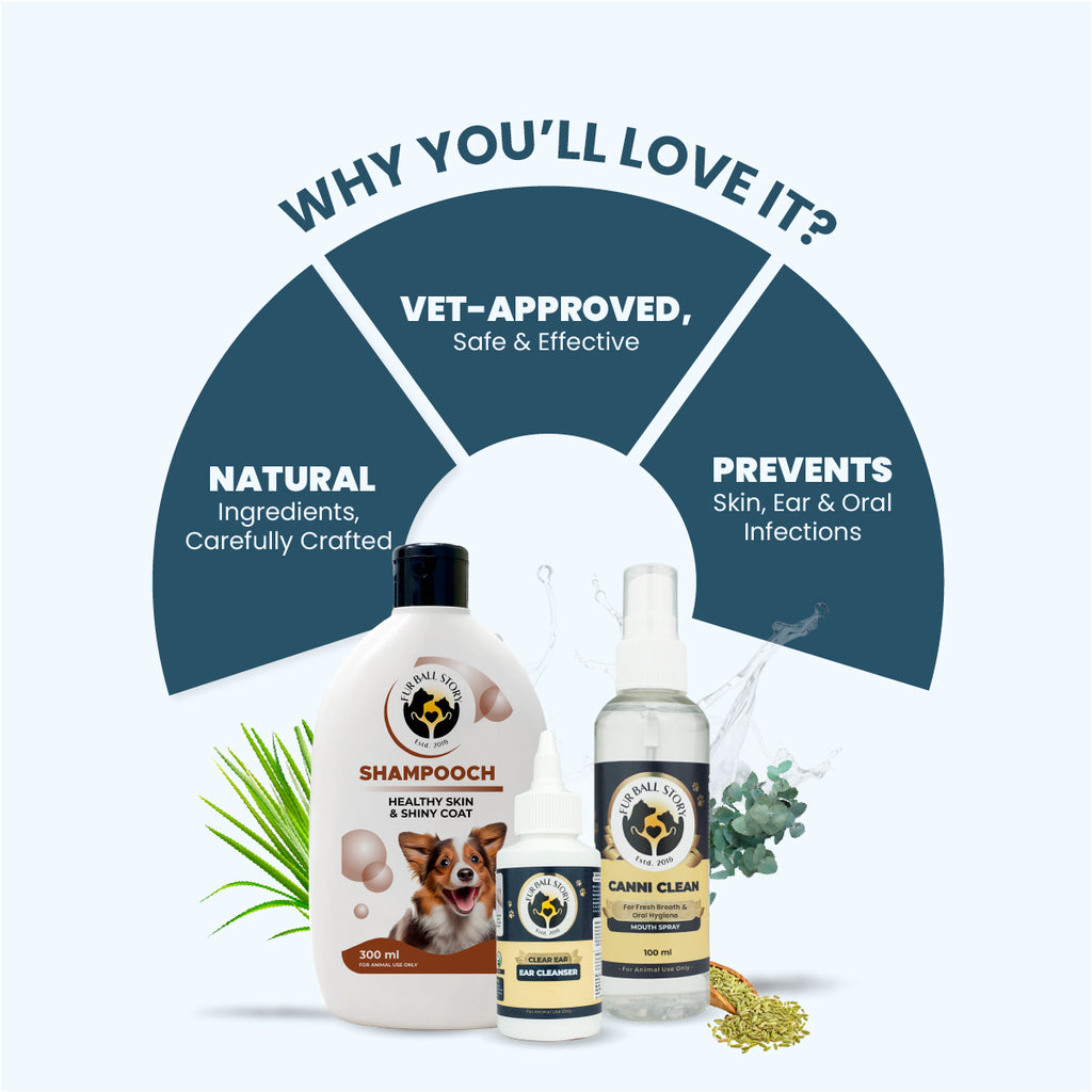 Graphic titled "WHY YOU'LL LOVE IT?" showcasing three key benefits: Vet-Approved, Natural Ingredients, and Prevents Infections, arranged above the Fur Ball Story product trio.
