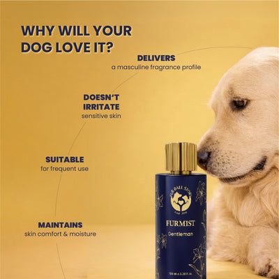 A golden retriever sitting next to the Furmist bottle with text callouts explaining that the masculine fragrance profile maintains skin comfort and moisture without irritation.