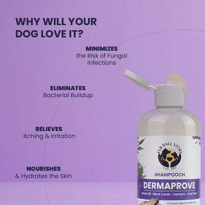 Dermaprove Shampooch: Antifungal Dog Shampoo - 300ml