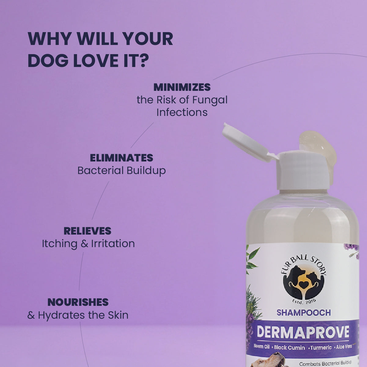 Diagram listing product benefits: minimizes fungal infections, eliminates bacterial buildup, relieves itching, and nourishes skin, next to an open bottle of Dermaprove shampoo.