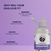 Diagram listing product benefits: minimizes fungal infections, eliminates bacterial buildup, relieves itching, and nourishes skin, next to an open bottle of Dermaprove shampoo.