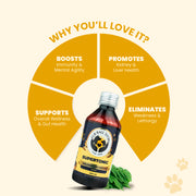 Supertonic Syrup: Ensures Head to Tail Wellness of Dogs & Cats - 200ml | multi vitamin for dogs