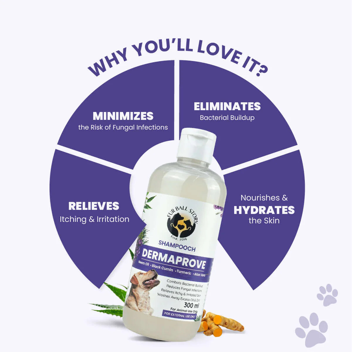 Dermaprove: Antifungal Dog Shampoo - 300ml (BUY 2 GET 1 FREE)