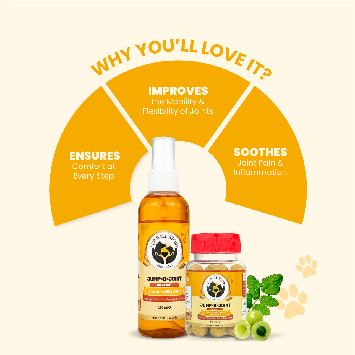 Jump-O-Joint Duo: Maximizing Joint Care in Pets