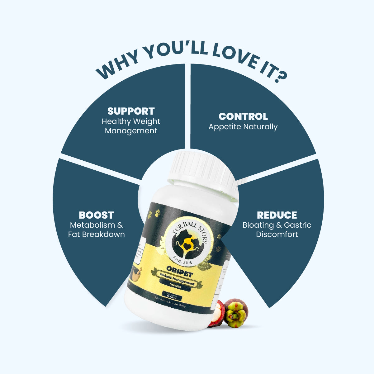 Obipet: Ayurvedic Weight Management Tablets for Dogs – 60 Tabs