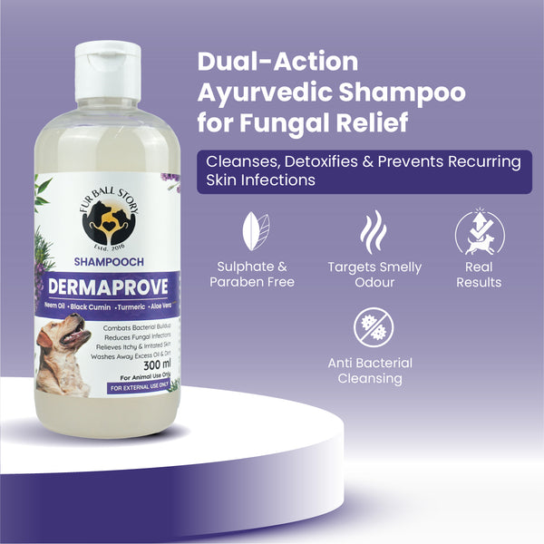 Dermaprove: Antifungal Dog Shampoo - 300ml