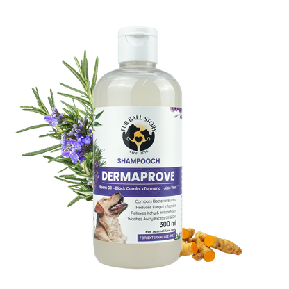 Dermaprove: Antifungal Dog Shampoo - 300ml