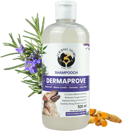 Dermaprove Antifungal Dog Shampoo Furball Story - Main Image